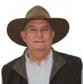 Mike Ostwald
